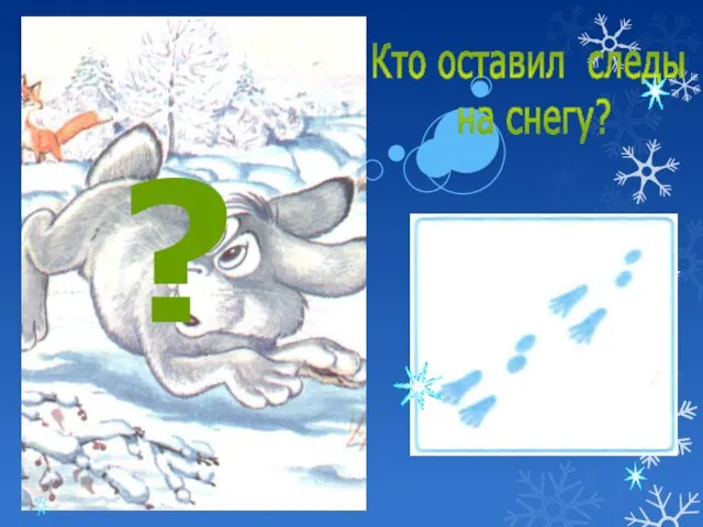 Кто оставил следы на снегу? ?