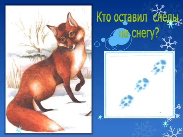 Кто оставил следы на снегу? ?