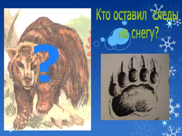 Кто оставил следы на снегу? ?