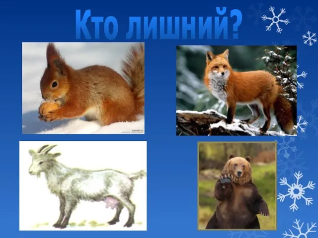 Кто лишний?