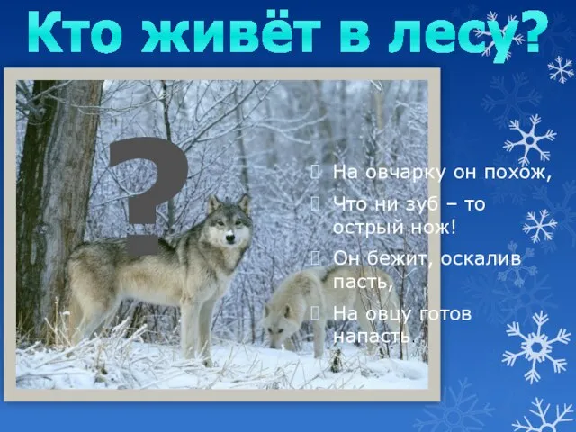 Кто живёт в лесу? На овчарку он похож, Что ни зуб –