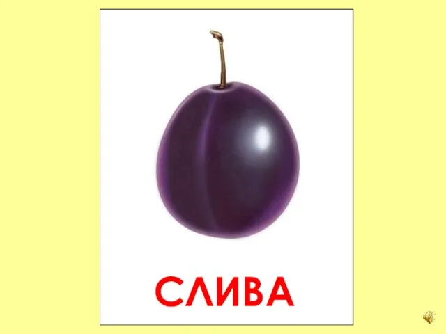 СЛИВА