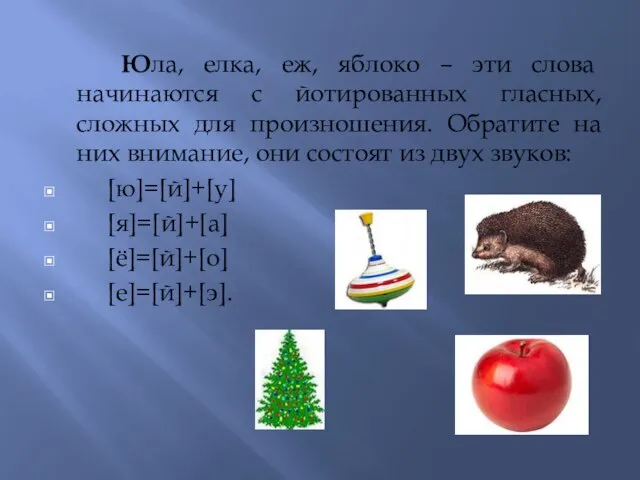 Юла, елка, еж, яблоко – эти слова начинаются с йотированных гласных, сложных