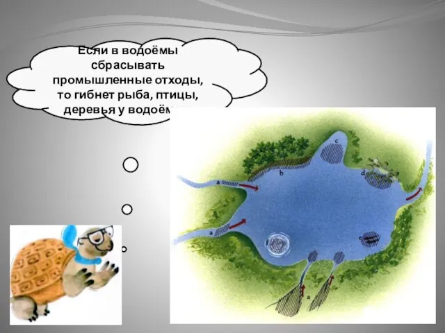 Если в водоёмы сбрасывать промышленные отходы, то гибнет рыба, птицы, деревья у водоёмов.