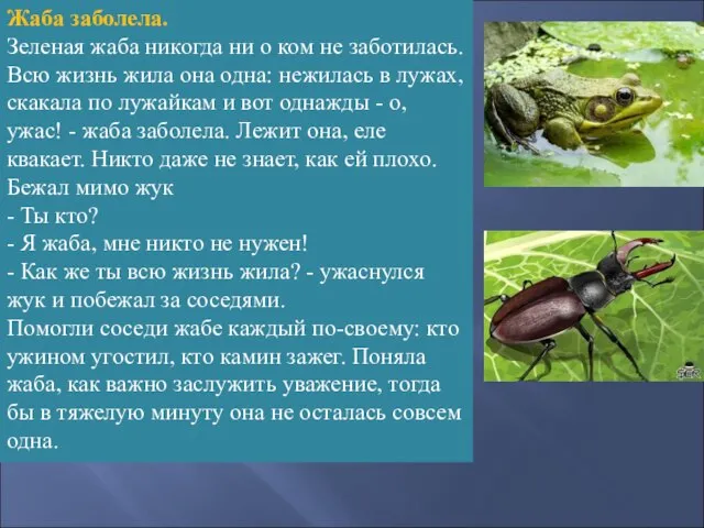 Жаба заболела. Зеленая жаба никогда ни о ком не заботилась. Всю жизнь