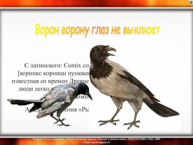 С латинского: Comix cornici nunquam confodit oculum [корннкс корници нунквам конфодит окулум].Пословица,