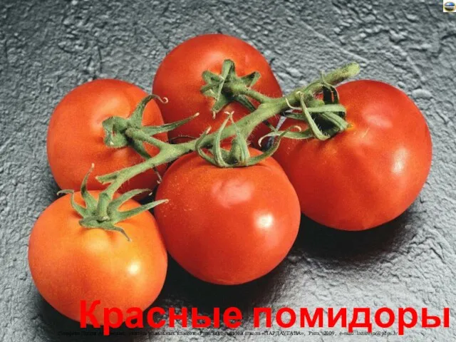 Красные помидоры