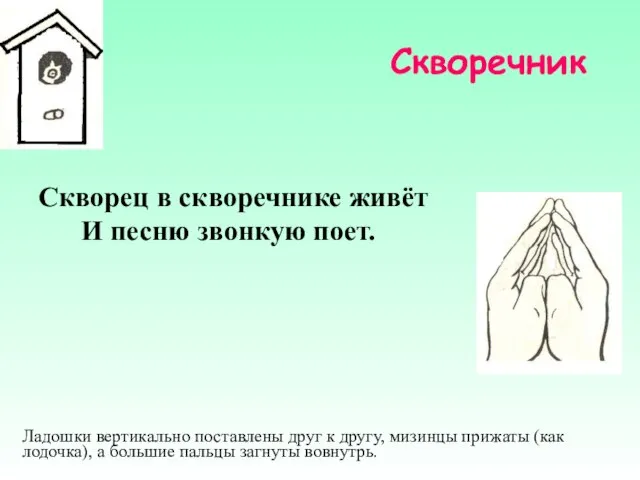 Скворечник Скворец в скворечнике живёт И песню звонкую поет. Ладошки вертикально поставлены