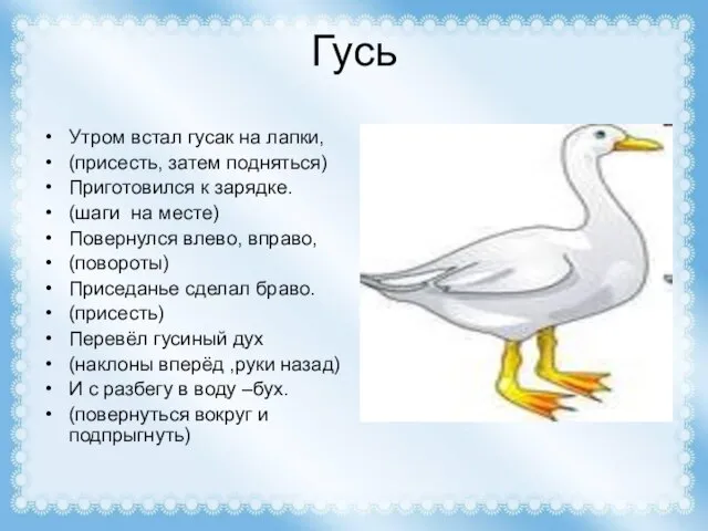 Гусь Утром встал гусак на лапки, (присесть, затем подняться) Приготовился к зарядке.