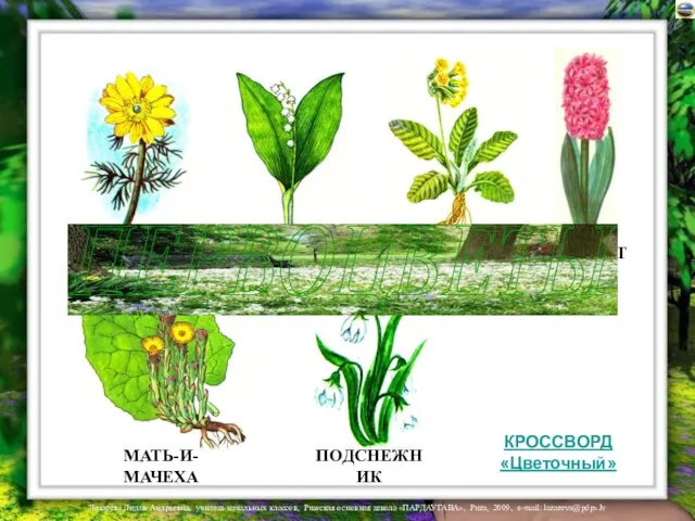 ЛАНДЫШ ПЕРВОЦВЕТ МАТЬ-И-МАЧЕХА ГОРИЦВЕТ ПОДСНЕЖНИК ГИАЦИНТ ПЕРВОЦВЕТЫ КРОССВОРД «Цветочный»