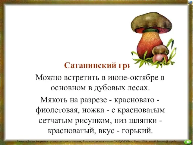 Сатанинский гриб Можно встретить в июне-октябре в основном в дубовых лесах. Мякоть