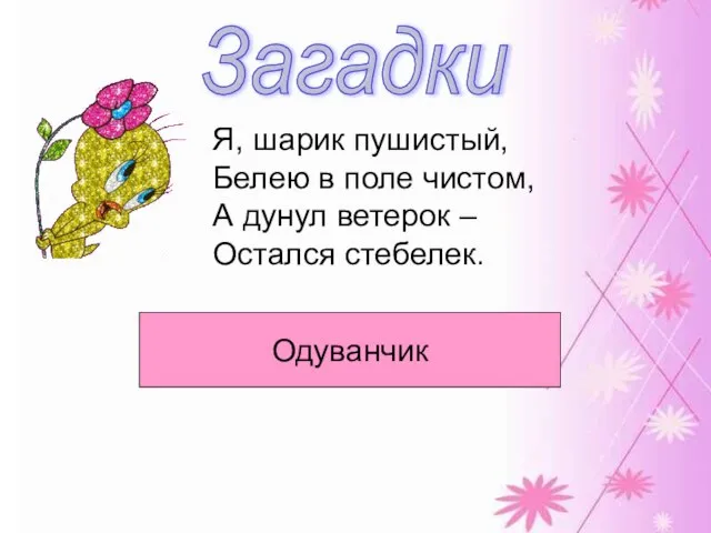 Загадки Я, шарик пушистый, Белею в поле чистом, А дунул ветерок – Остался стебелек. Одуванчик