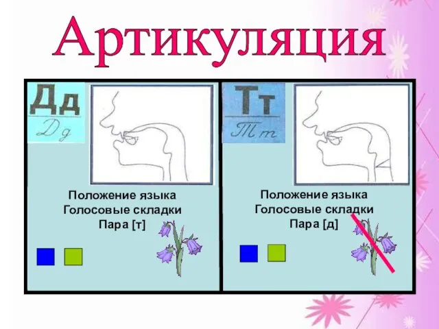 Артикуляция Положение языка Голосовые складки Пара [т] Положение языка Голосовые складки Пара [д]