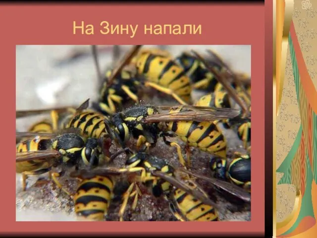 На Зину напали