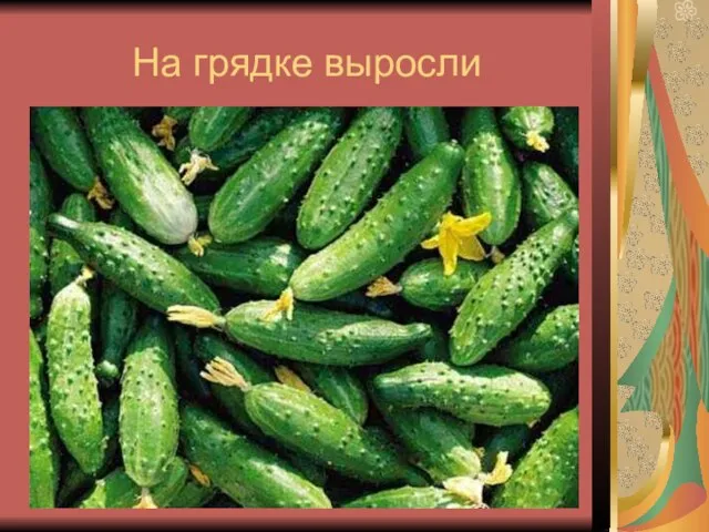 На грядке выросли