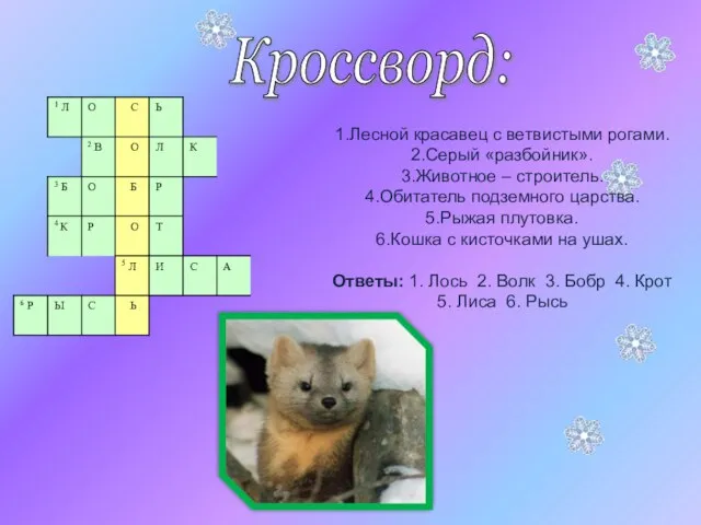 Кроссворд: 1.Лесной красавец с ветвистыми рогами. 2.Серый «разбойник». 3.Животное – строитель. 4.Обитатель