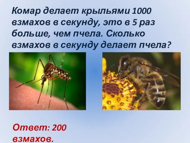 Комар делает крыльями 1000 взмахов в секунду, это в 5 раз больше,