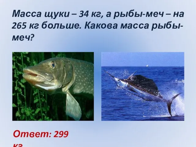 Масса щуки – 34 кг, а рыбы-меч – на 265 кг больше.