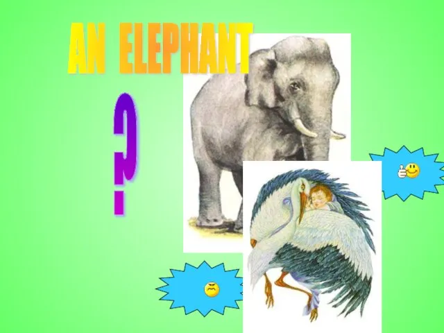 AN ELEPHANT ?