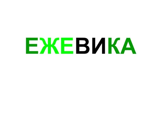 ЕЖЕВИКА