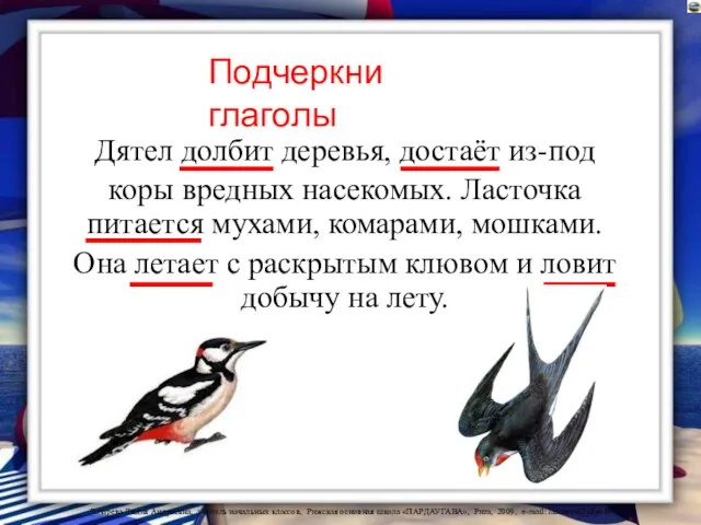 Дятел долбит деревья, достаёт из-под коры вредных насекомых. Ласточка питается мухами, комарами,