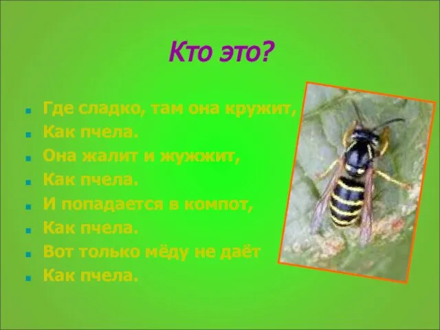 Кто это? Где сладко, там она кружит, Как пчела. Она жалит и