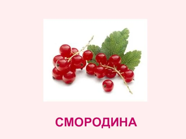 СМОРОДИНА