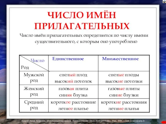 ЧИСЛО ИМЁН ПРИЛАГАТЕЛЬНЫХ Число имён прилагательных определяется по числу имени существительного, с которым оно употреблено