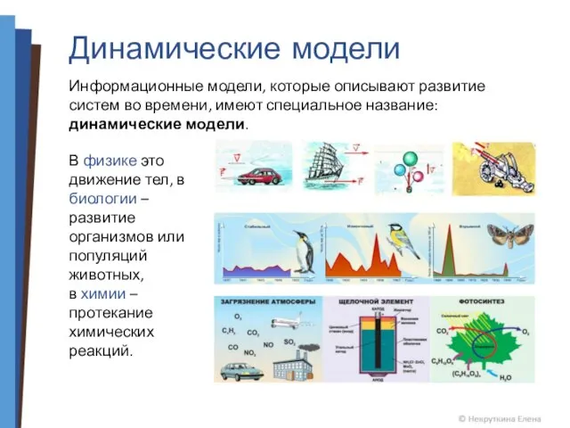 Динамические модели Информационные модели, которые описывают развитие систем во времени, имеют специальное