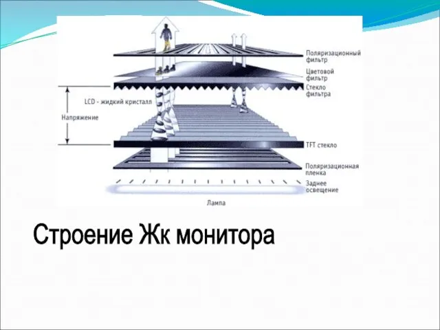 Строение Жк монитора