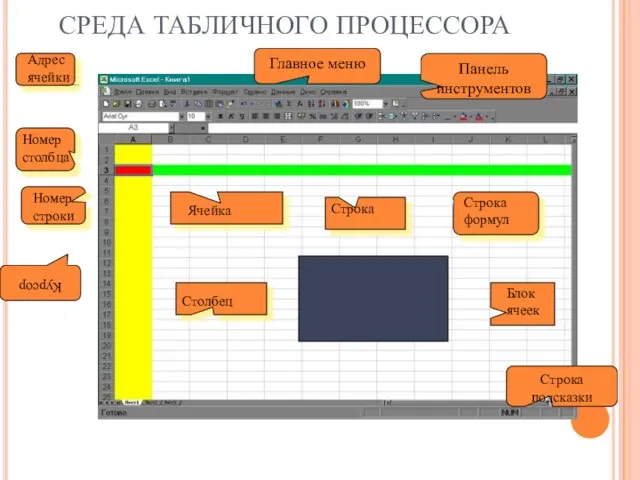 СРЕДА ТАБЛИЧНОГО ПРОЦЕССОРА Ячейка Строка Столбец Номер строки Номер столбца Адрес ячейки