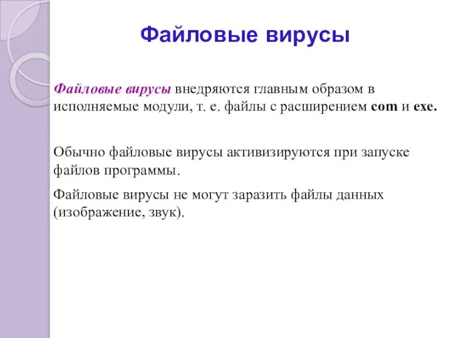 Файловые вирусы Файловые вирусы внедряются главным образом в исполняемые модули, т. е.