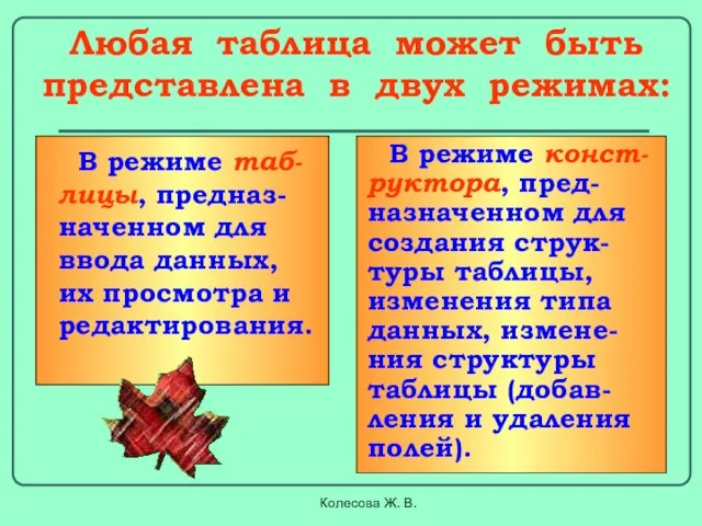 Колесова Ж. В. Любая таблица может быть представлена в двух режимах: В