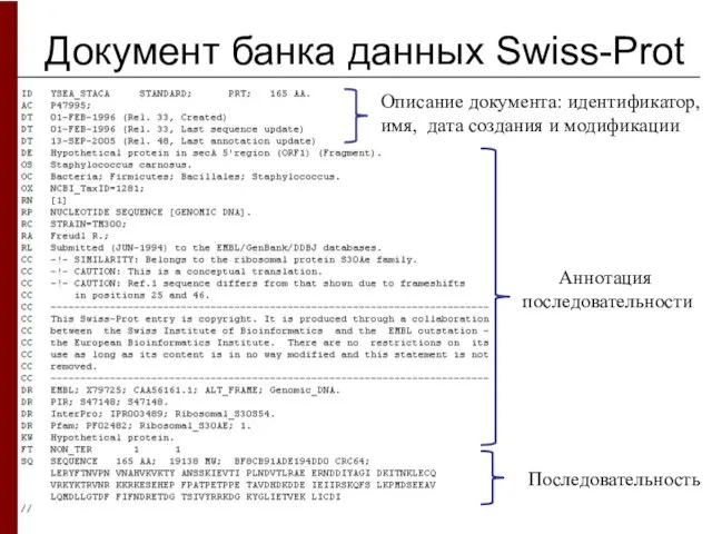 Документ банка данных Swiss-Prot Описание документа: идентификатор, имя, дата создания и модификации Аннотация последовательности Последовательность