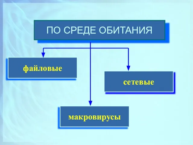 ПО СРЕДЕ ОБИТАНИЯ файловые сетевые макровирусы