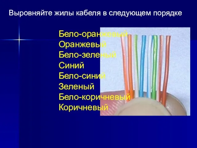 Выровняйте жилы кабеля в следующем порядке Бело-оранжевый Оранжевый Бело-зеленый Синий Бело-синий Зеленый Бело-коричневый Коричневый