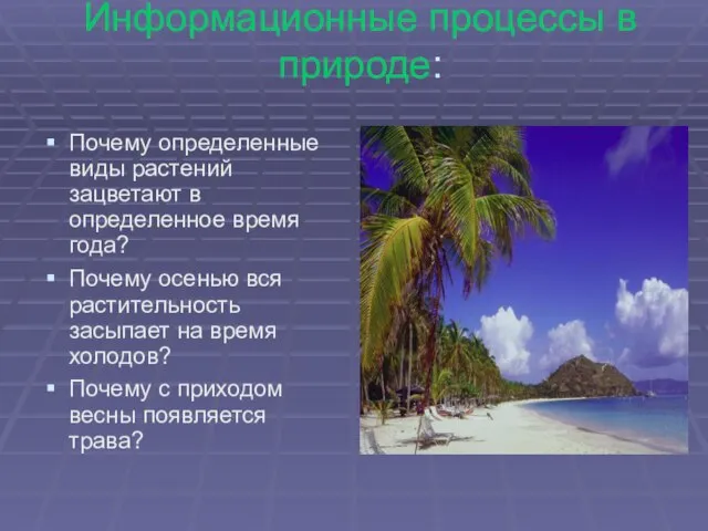 Информационные процессы в природе: Почему определенные виды растений зацветают в определенное время