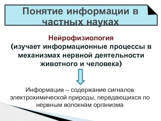 Понятие информации в частных науках Нейрофизиология (изучает информационные процессы в механизмах нервной