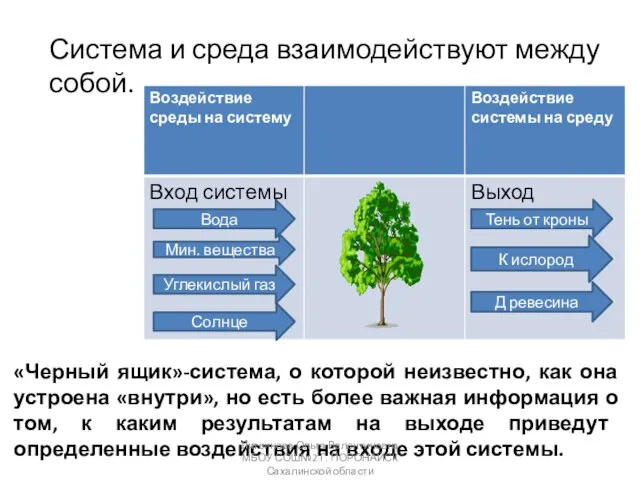 Система и среда взаимодействуют между собой. Д ревесина К ислород Тень от