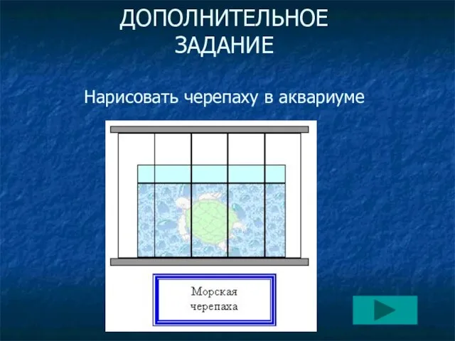 ДОПОЛНИТЕЛЬНОЕ ЗАДАНИЕ Нарисовать черепаху в аквариуме