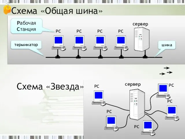 Схема «Общая шина» Схема «Звезда» сервер РС РС РС РС РС