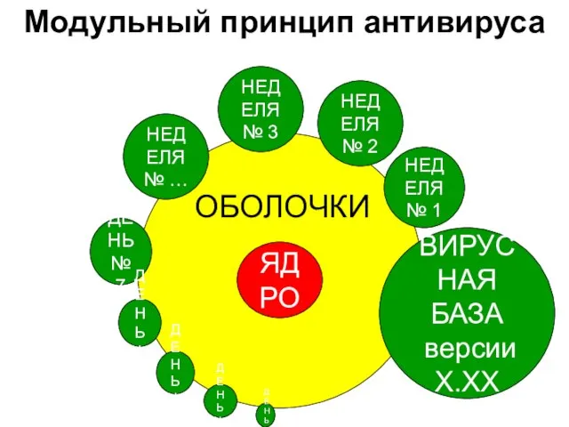 ВИРУСНАЯ БАЗА версии Х.ХХ НЕДЕЛЯ № 1 НЕДЕЛЯ № 2 НЕДЕЛЯ №