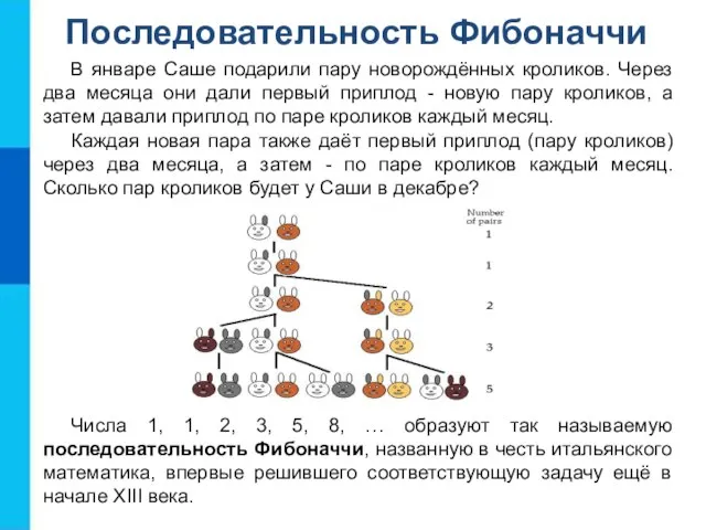 Последовательность Фибоначчи В январе Саше подарили пару новорождённых кроликов. Через два месяца