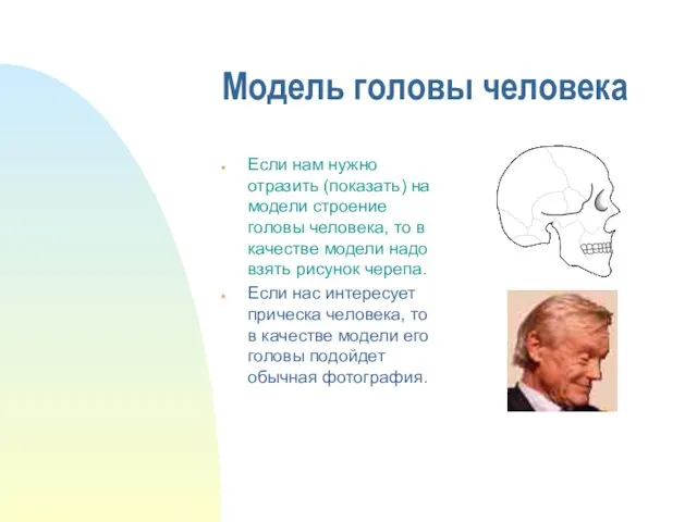 Модель головы человека Если нам нужно отразить (показать) на модели строение головы