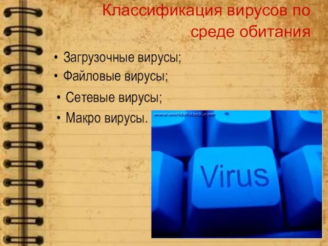 Классификация вирусов по среде обитания Сетевые вирусы; Макро вирусы. Загрузочные вирусы; Файловые вирусы;