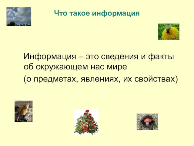 Что такое информация Информация – это сведения и факты об окружающем нас