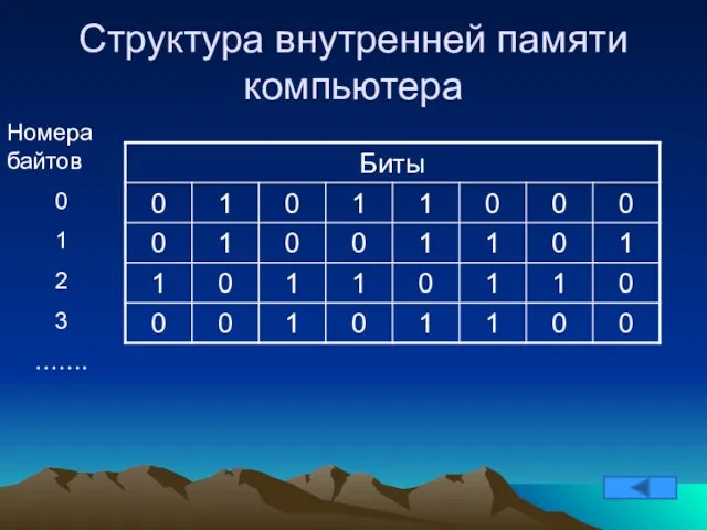 Структура внутренней памяти компьютера Номера байтов 0 1 2 3 …….