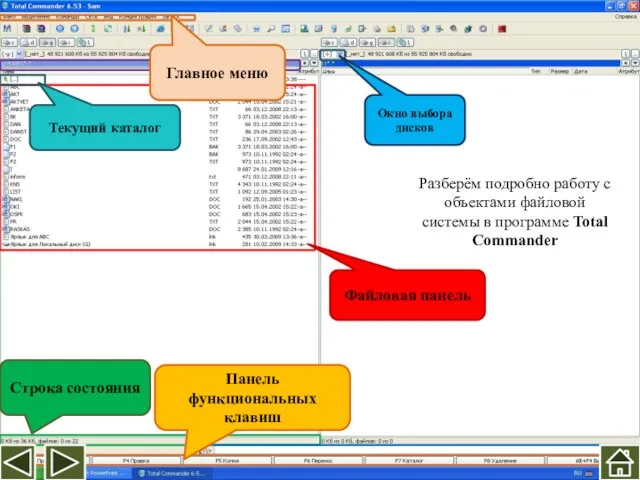 Файловая панель Строка состояния Панель функциональных клавиш Текущий каталог Главное меню Окно