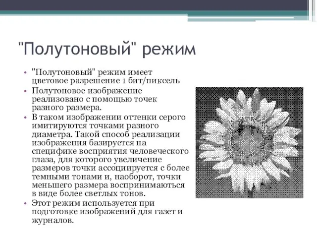 "Полутоновый" режим "Полутоновый" режим имеет цветовое разрешение 1 бит/пиксель Полутоновое изображение реализовано