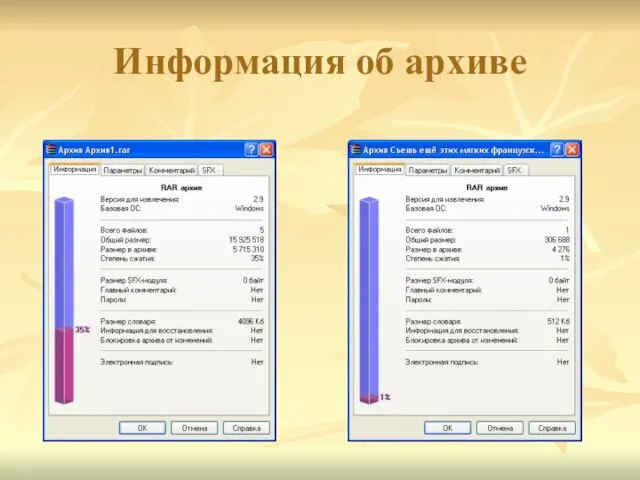 Информация об архиве